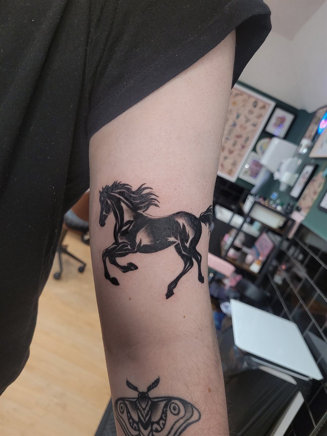 HORSE tattoo — blackwork, inner arm — by Kayleigh Chaos, tattoo artist in Perth, Scotland