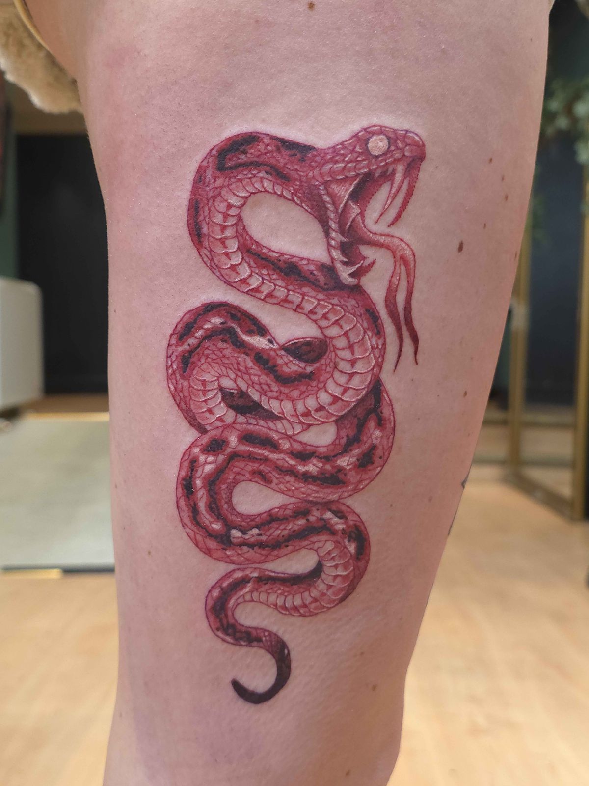 SNAKE tattoo — colour, thigh — by Kayleigh Chaos, tattoo artist in Perth, Scotland