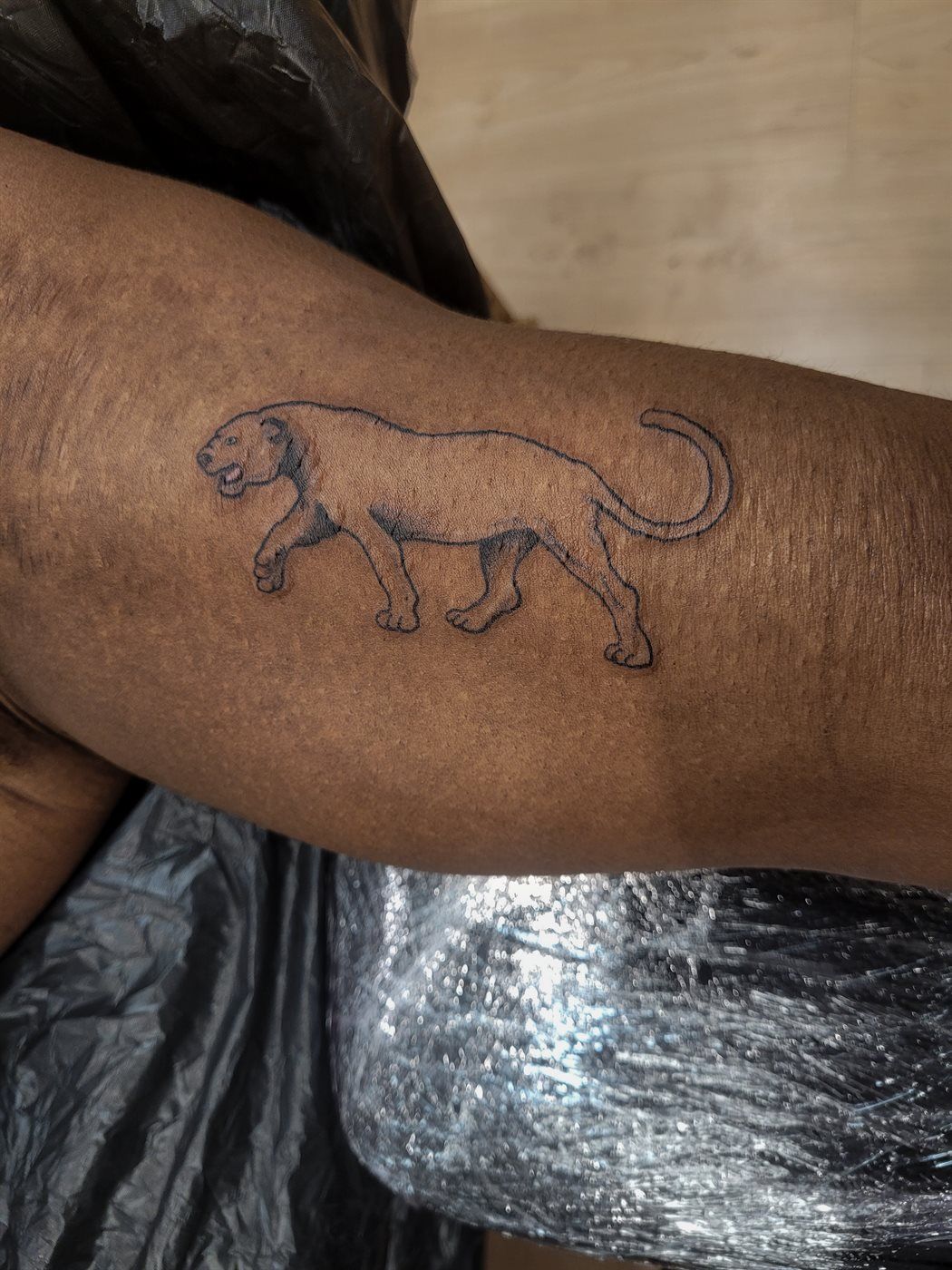 PANTHER tattoo — fine line, upper arm — by Kayleigh Chaos, tattoo artist in Perth, Scotland