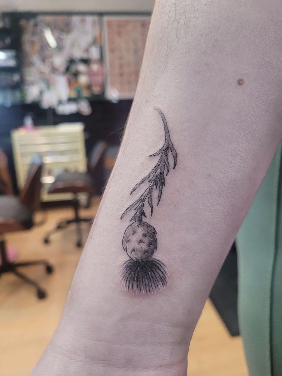 THISTLE tattoo — fine line, wrist — by Kayleigh Chaos, tattoo artist in Perth, Scotland