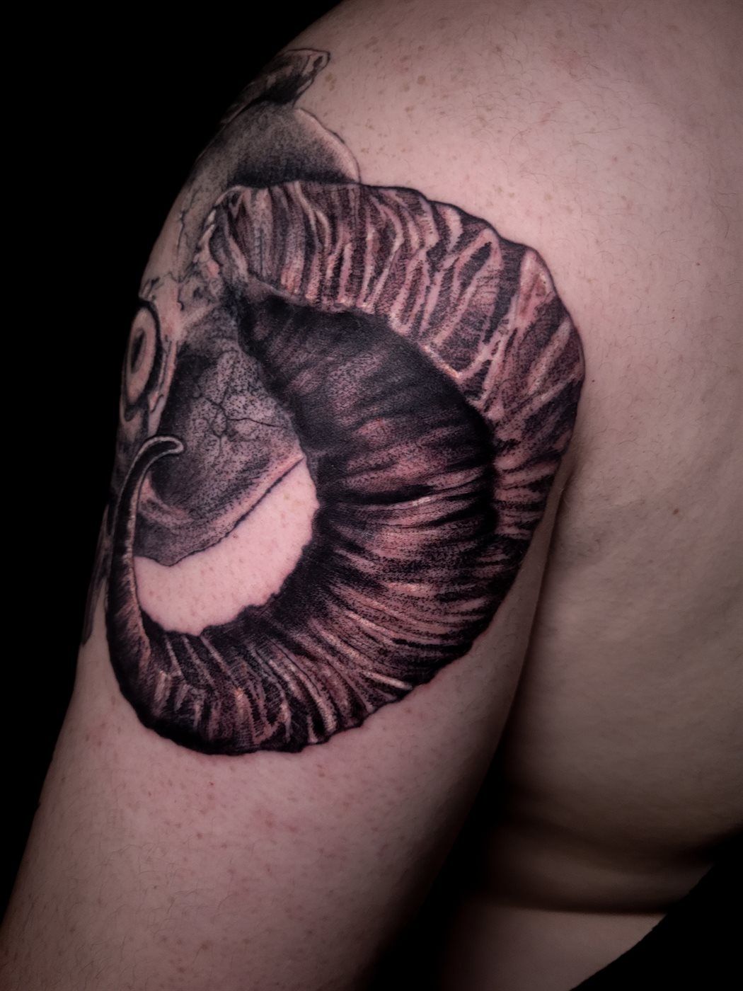DEMON SKULL SLEEVE — HORN tattoo — horror, rear shoulder — by Kayleigh Chaos, tattoo artist in Perth, Scotland
