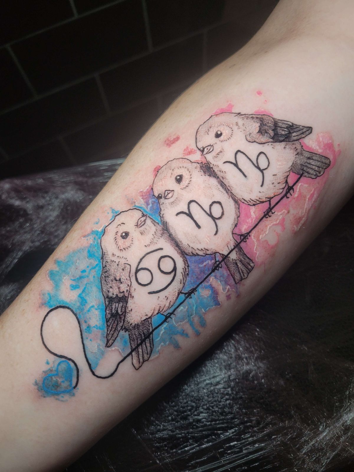 BIRDS tattoo — colour, arm — by Kayleigh Chaos, tattoo artist in Perth, Scotland